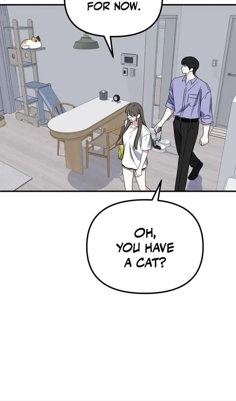 Chapter 3, page 100