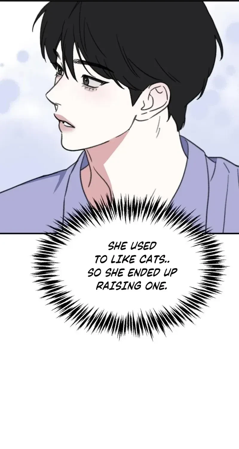 Chapter 3, page 101