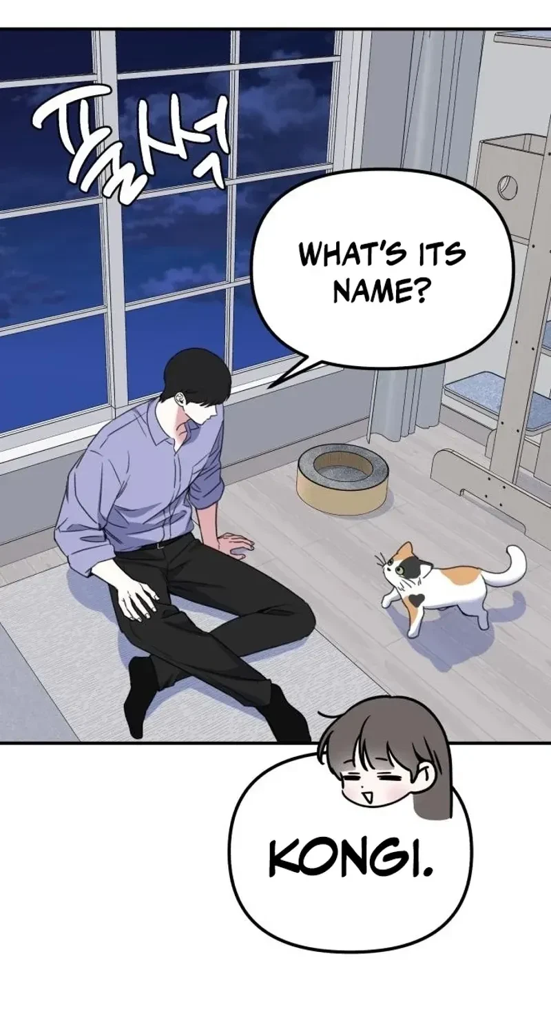 Chapter 3, page 102