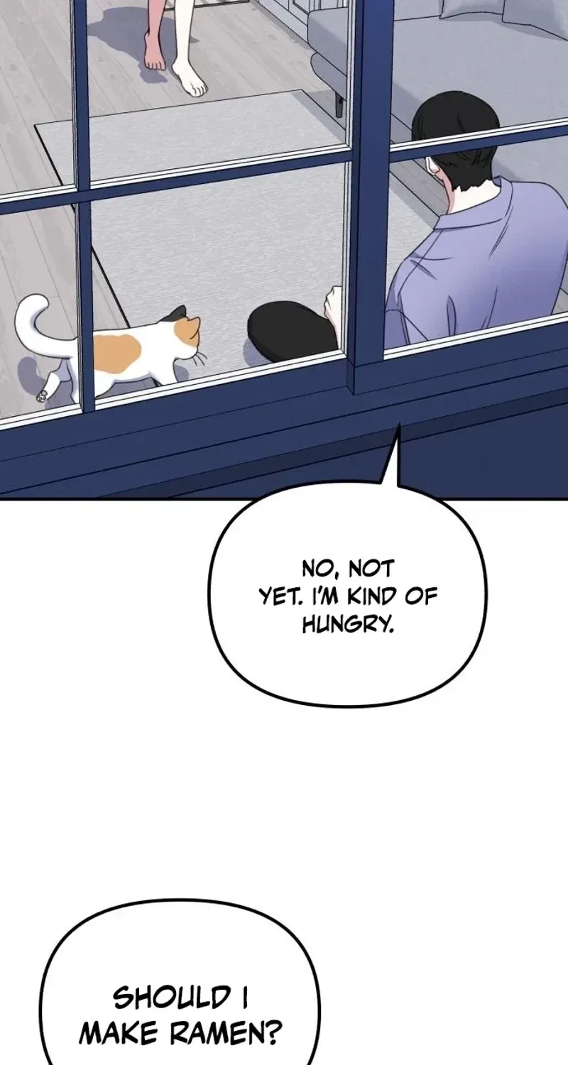 Chapter 3, page 104