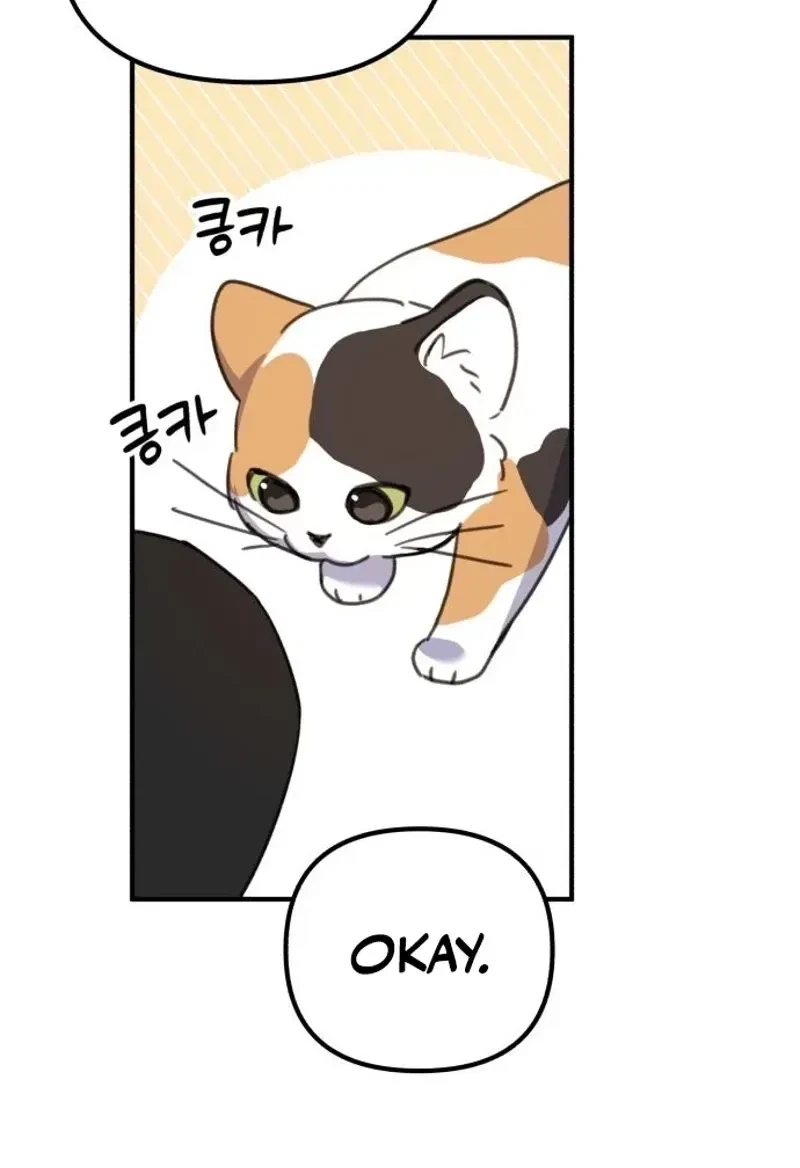 Chapter 3, page 105