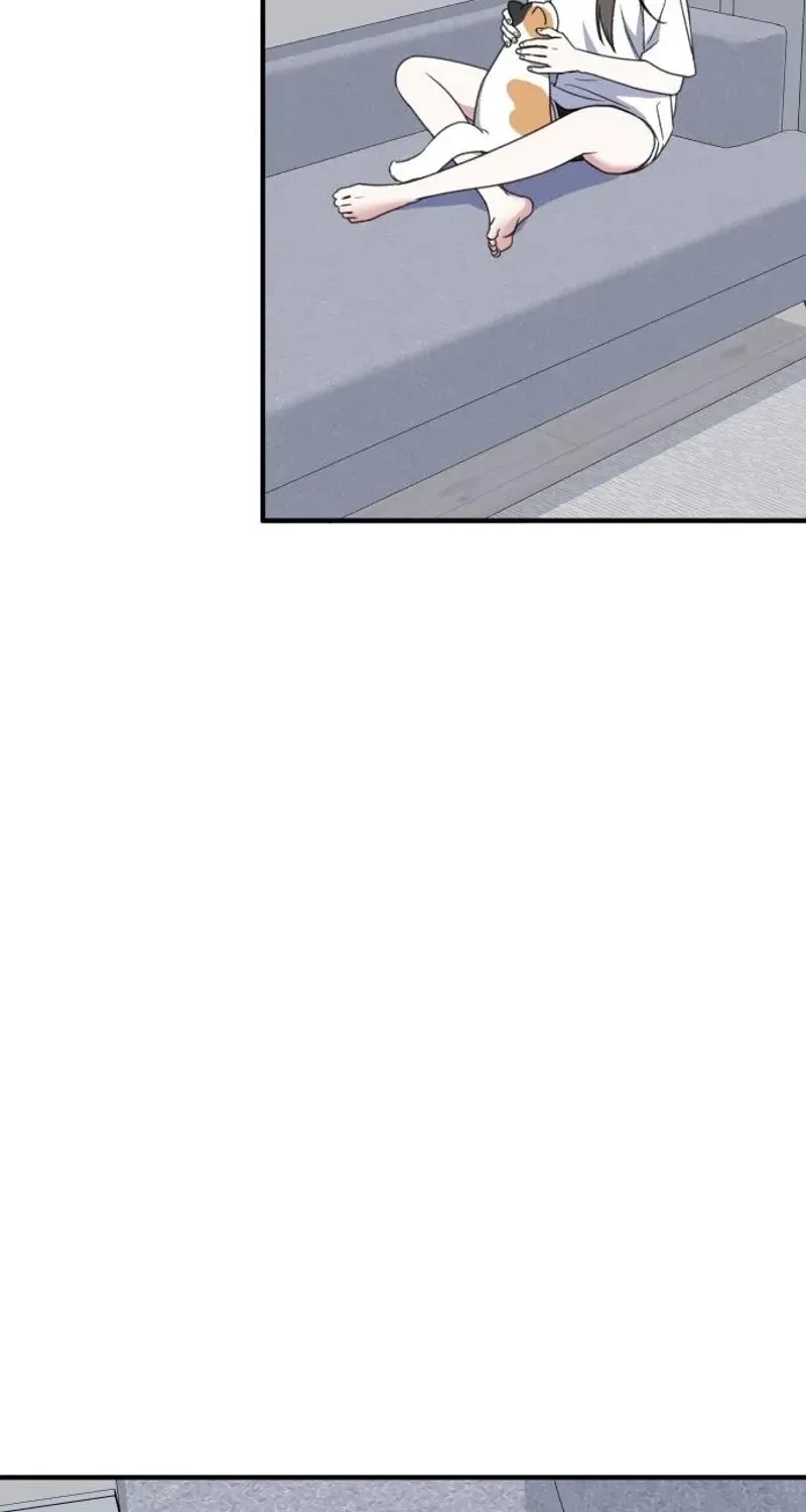 Chapter 3, page 135