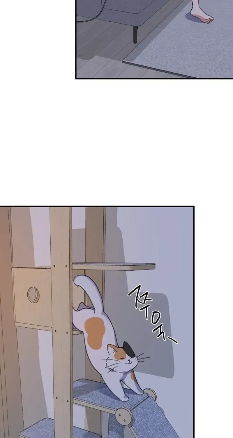 Chapter 3, page 73