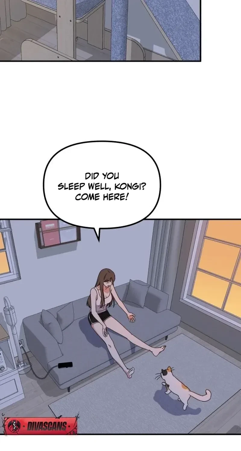 Chapter 3, page 74