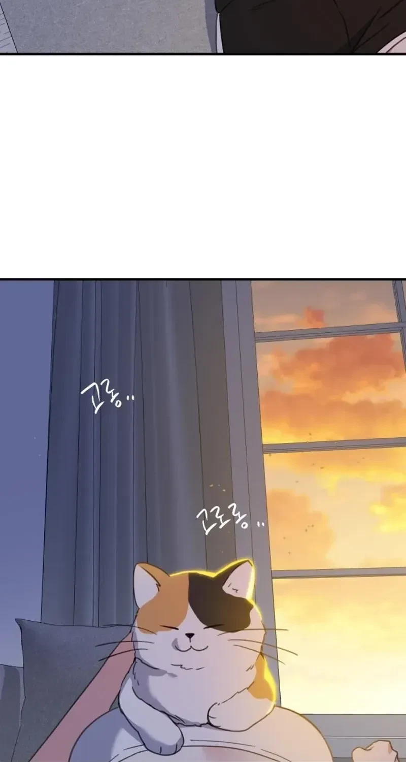 Chapter 3, page 76