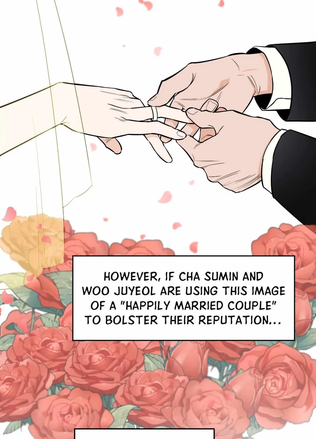 Chapter 3, page 29