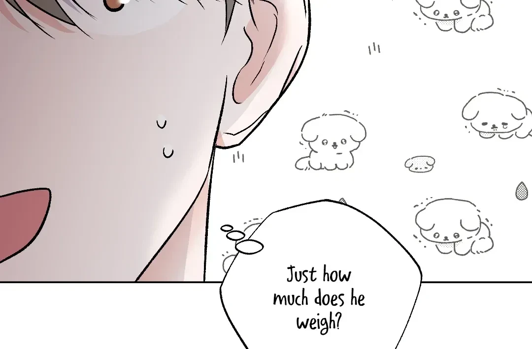 Chapter 5.7, page 81