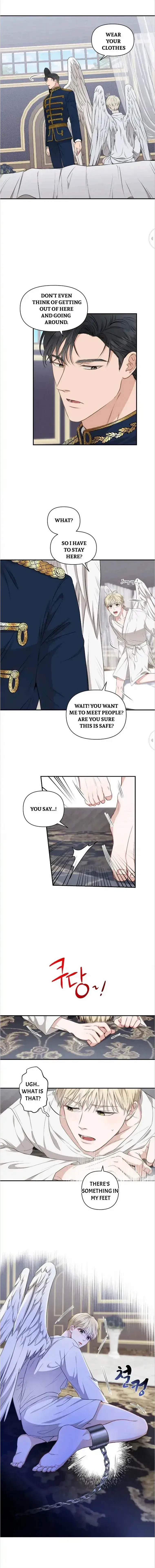 Chapter 5, page 6