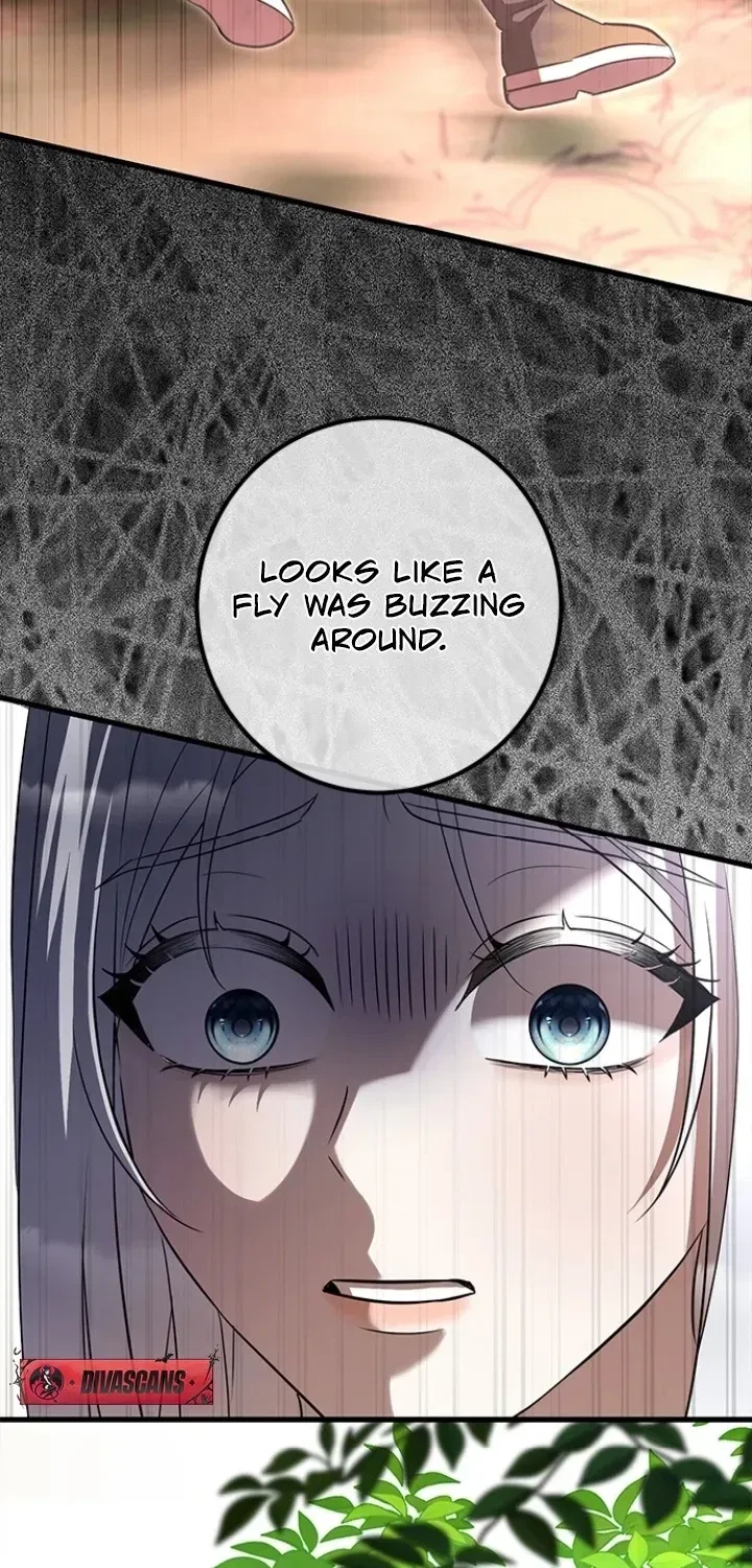 Chapter 3, page 66