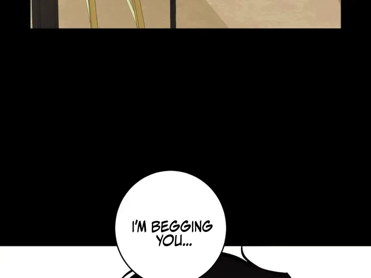 Chapter 2.3, page 213