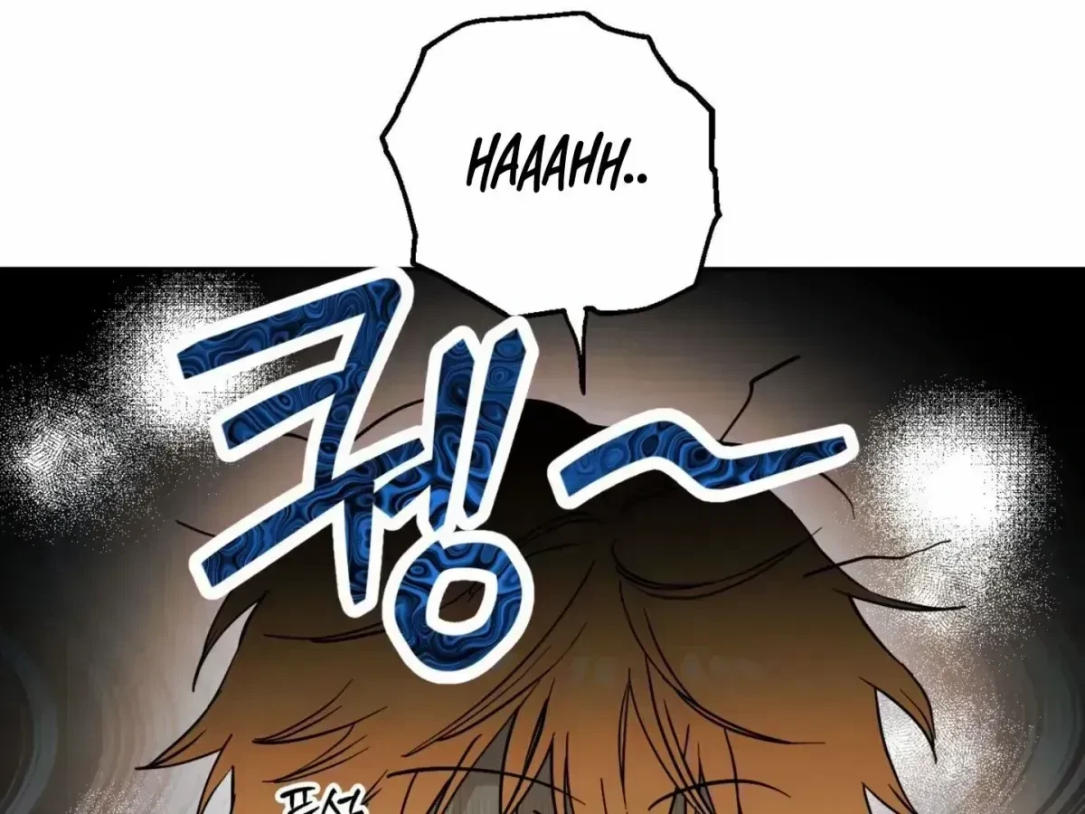 Chapter 2.3, page 51
