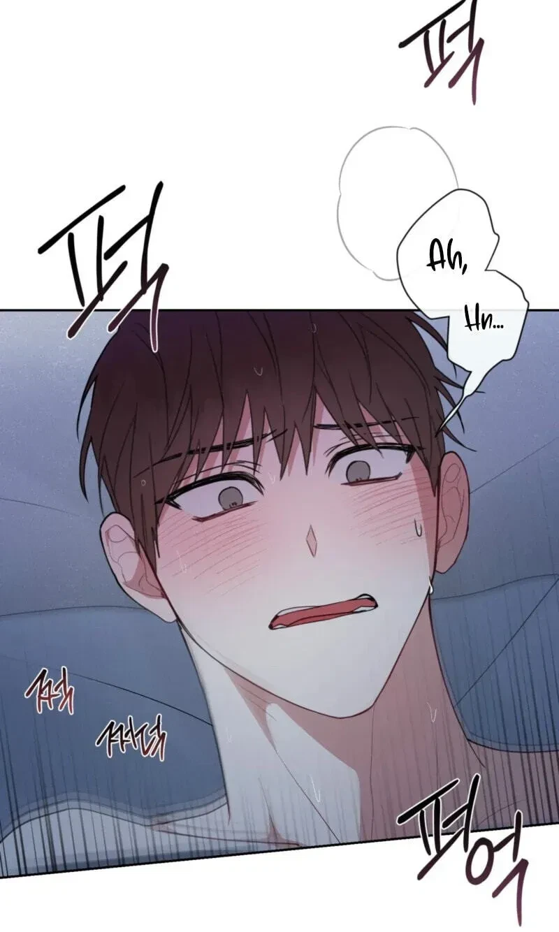 Chapter 41, page 52