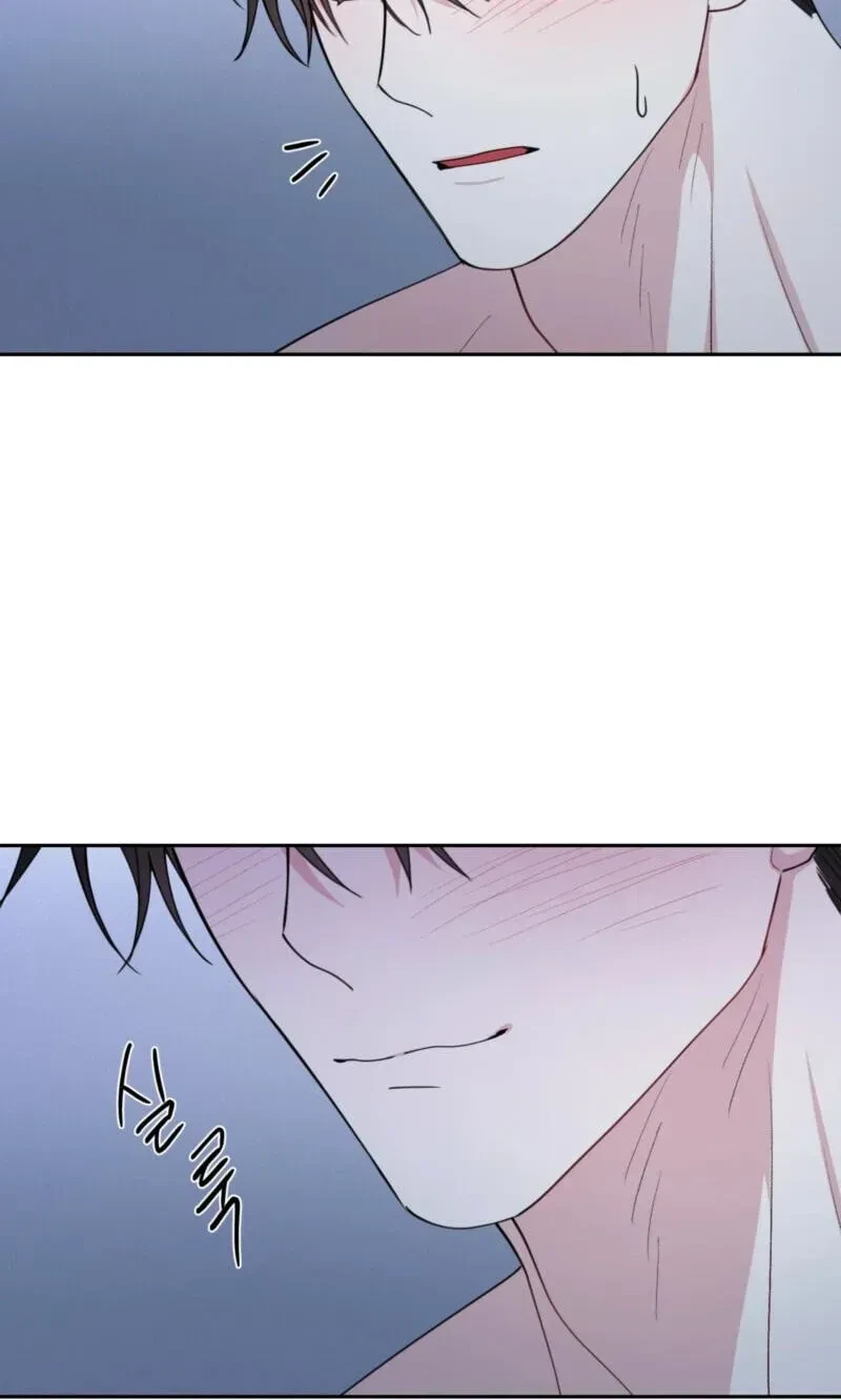Chapter 41, page 66
