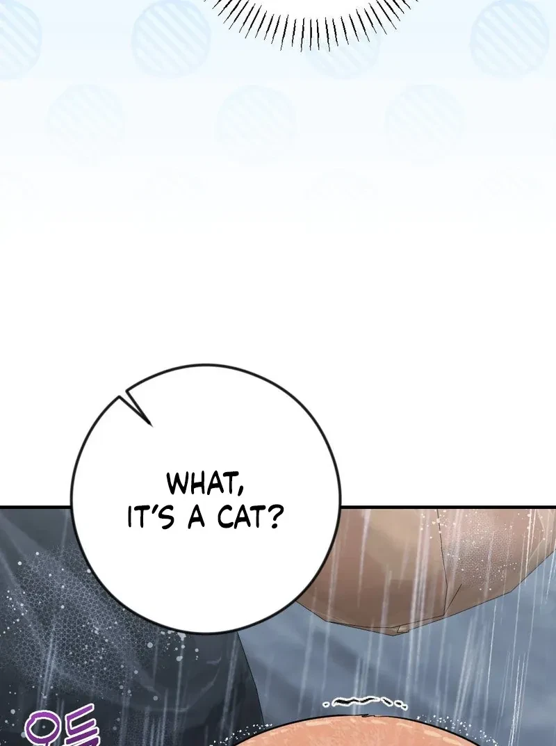 Chapter 4, page 101