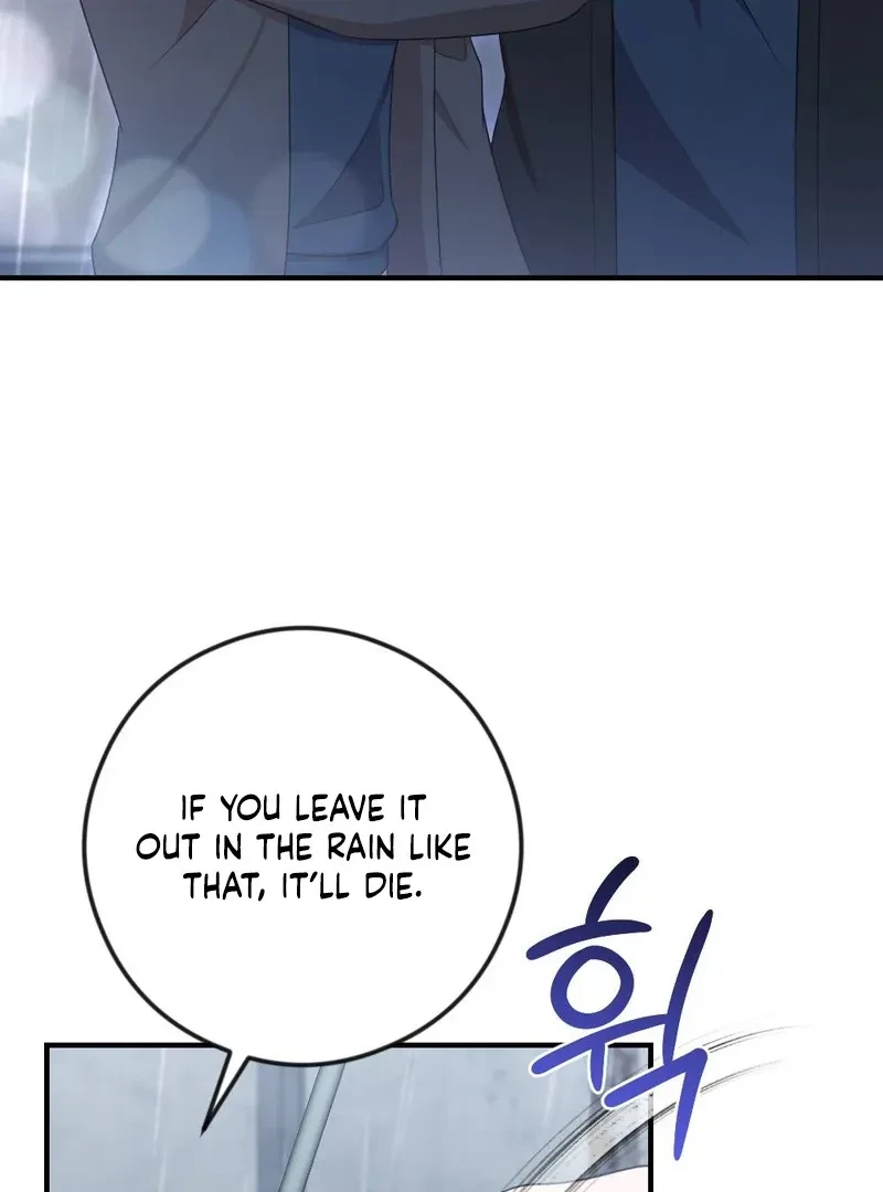 Chapter 4, page 107