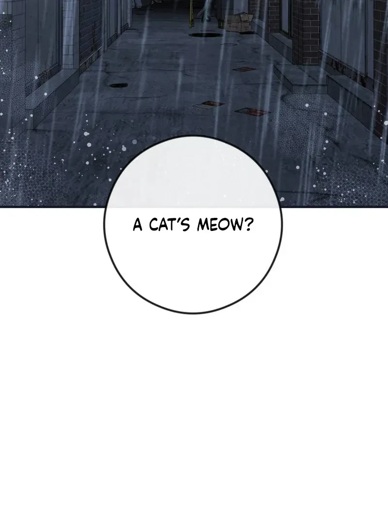 Chapter 4, page 87
