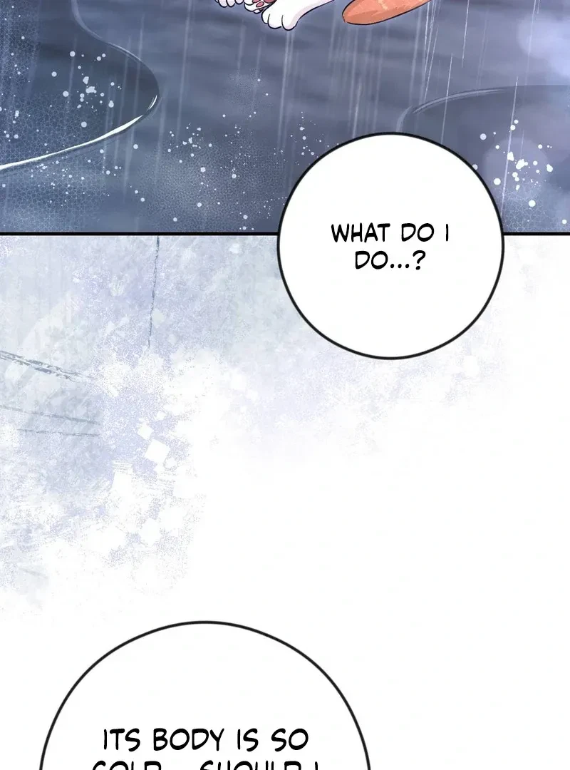 Chapter 4, page 92