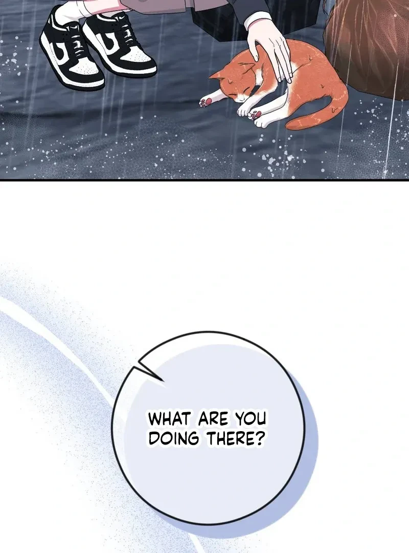Chapter 4, page 94