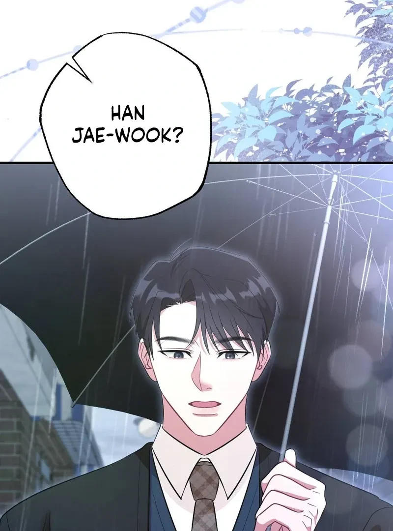Chapter 4, page 96
