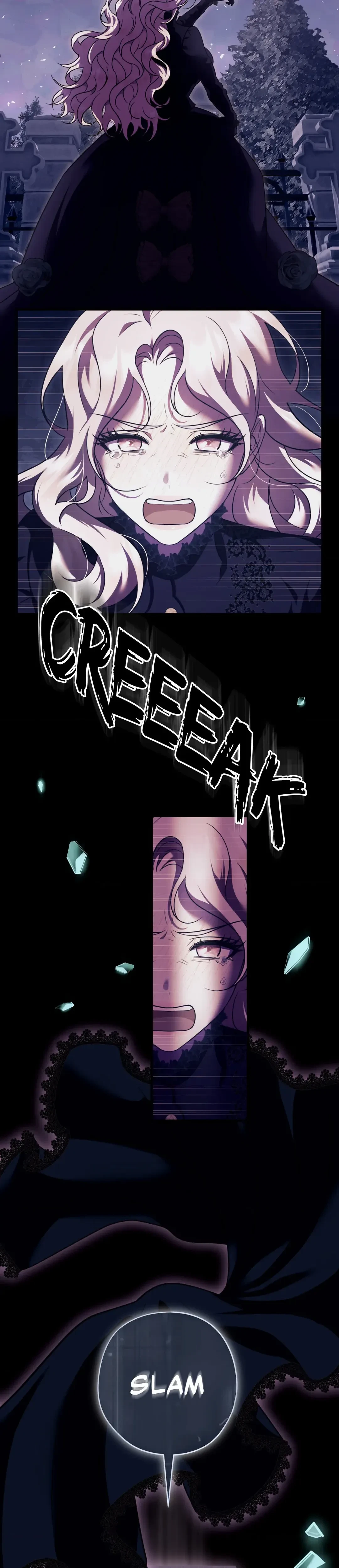 Chapter 2, page 25