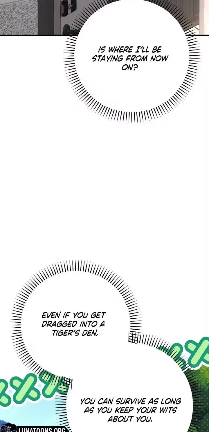 Chapter 3, page 5
