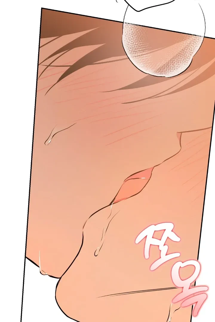 Chapter 2, page 101