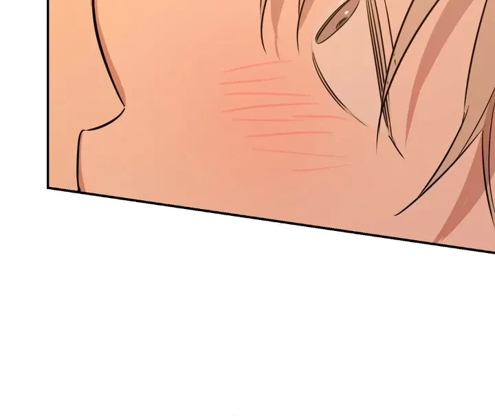 Chapter 2, page 97