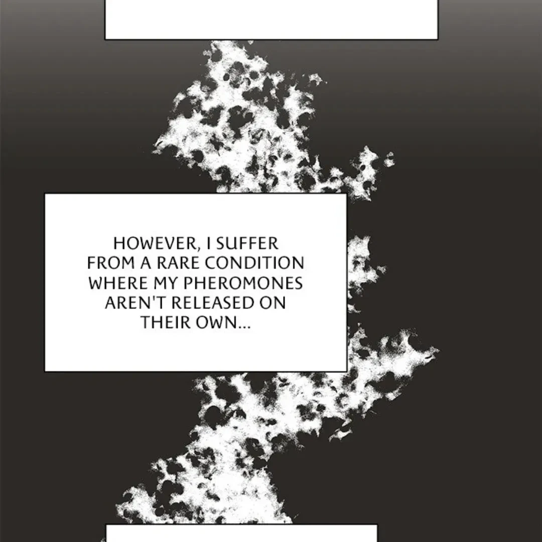 Chapter 1.1, page 24