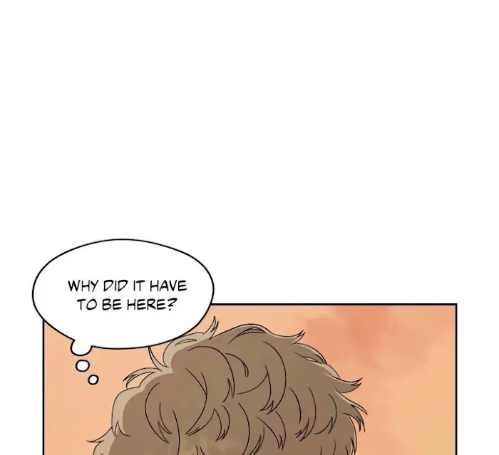 Chapter 3, page 24