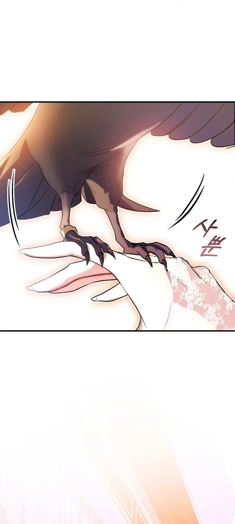 Chapter 2, page 12