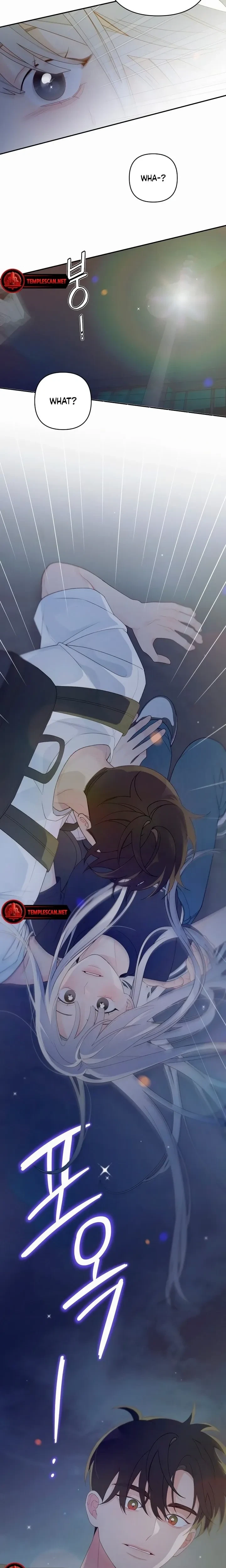 Chapter 1, page 26