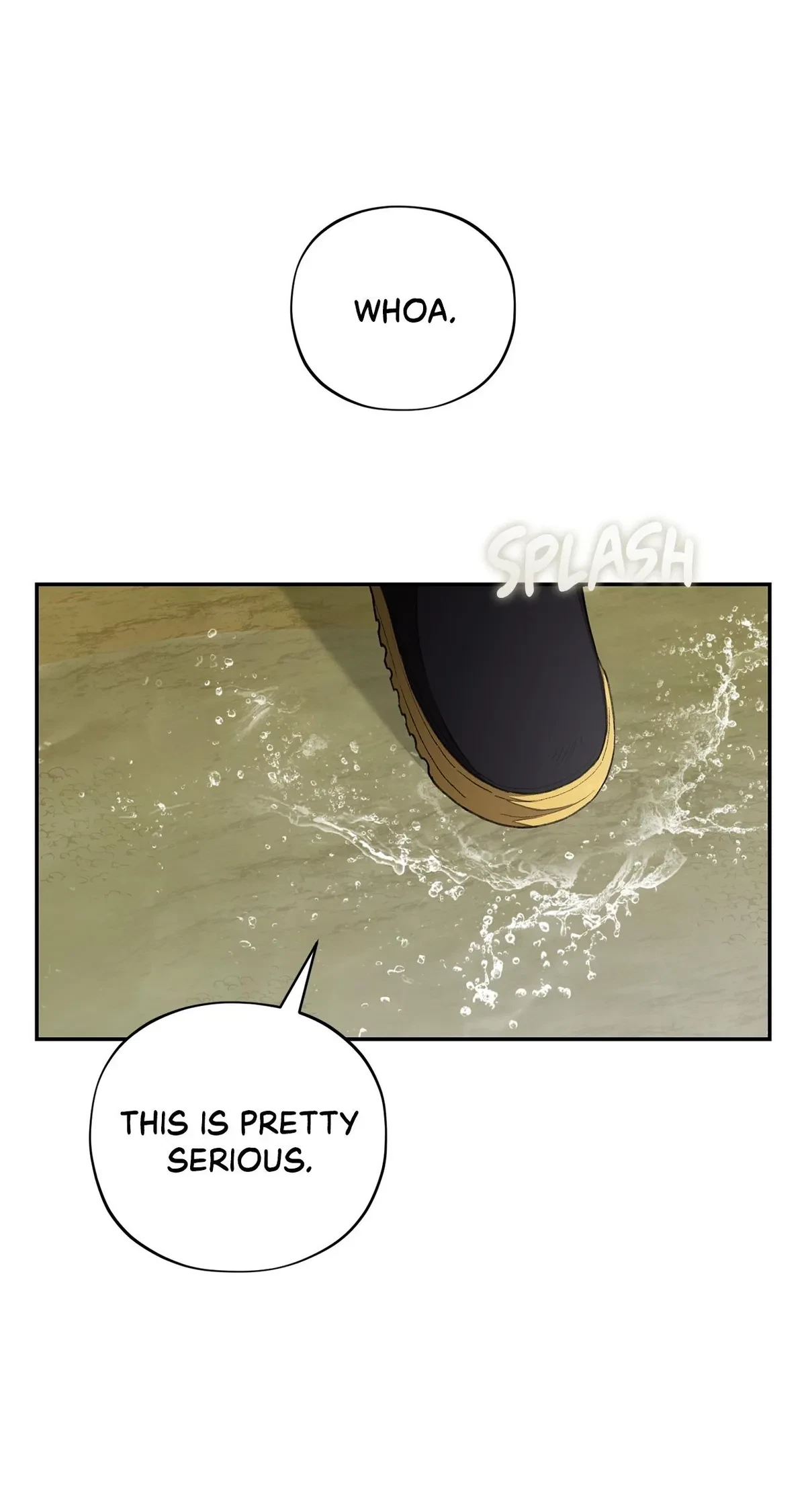 Chapter 2, page 31