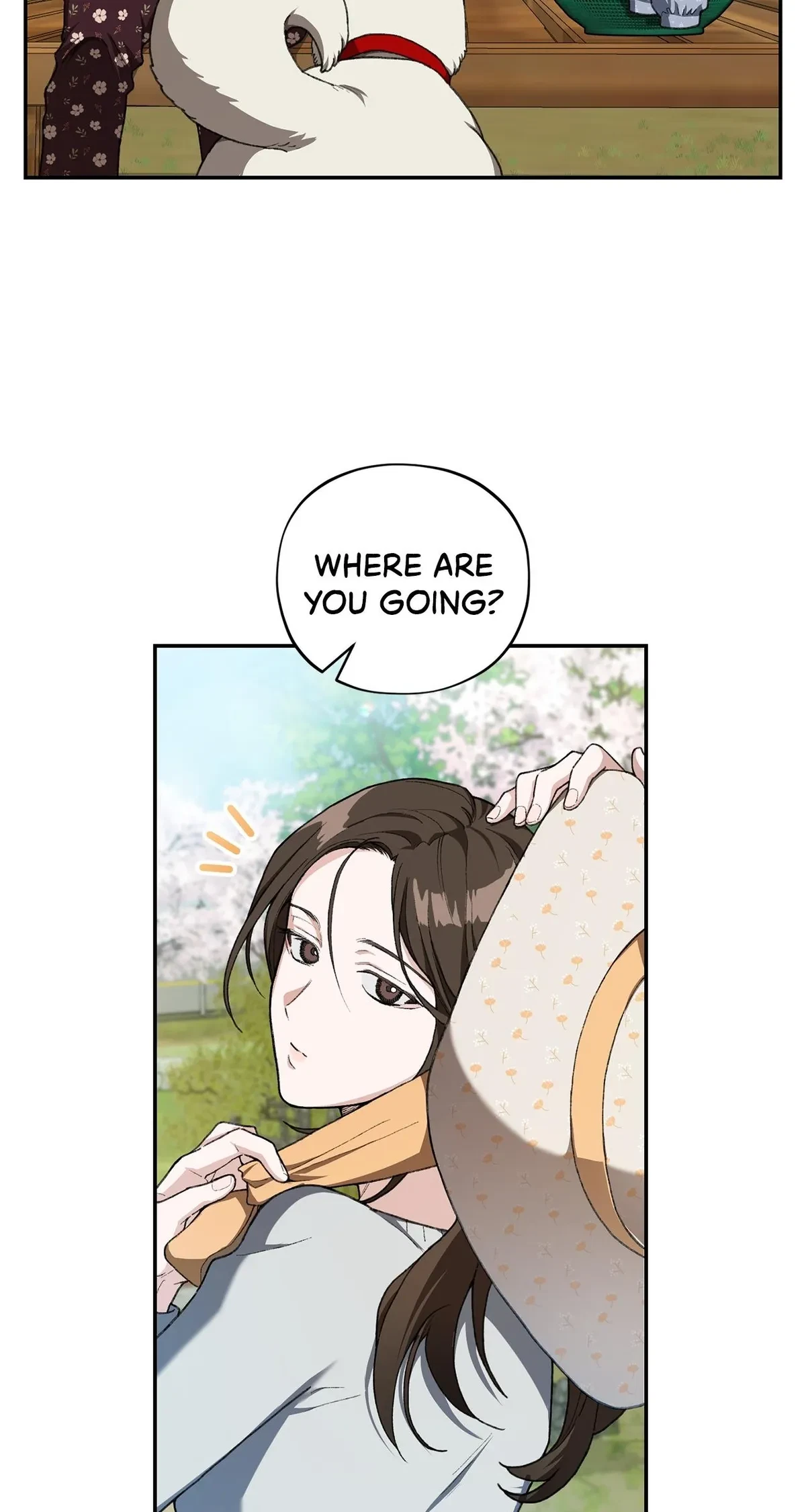Chapter 2, page 52