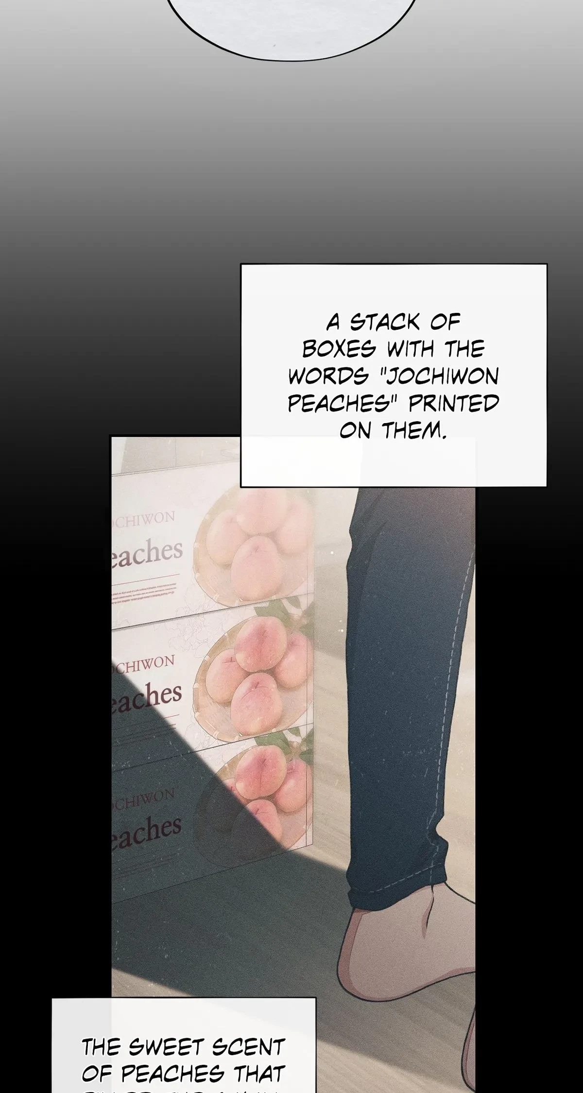 Chapter 2, page 6