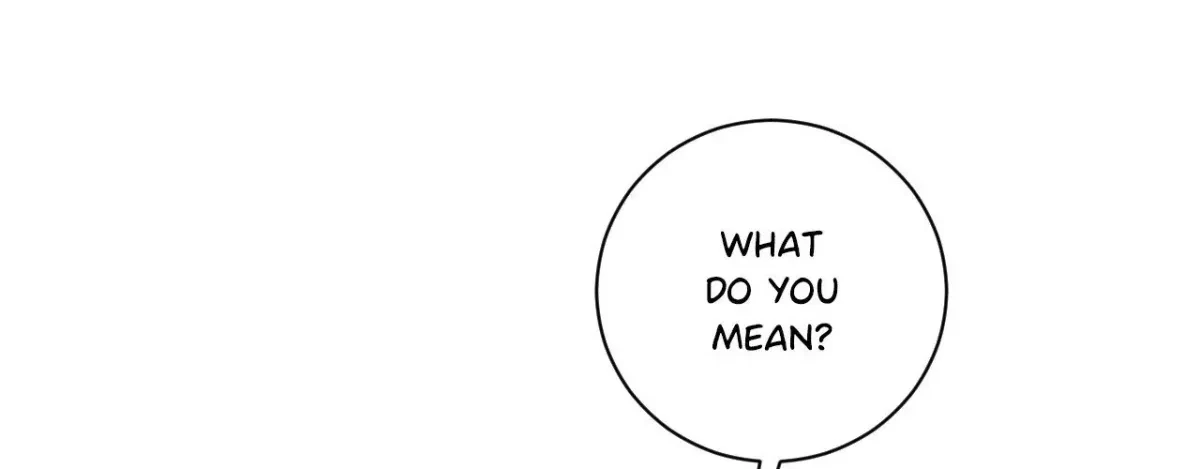 Chapter 2, page 17