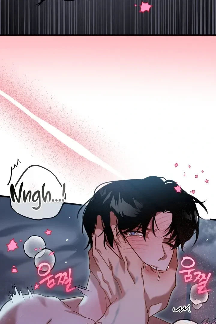 Chapter 1, page 17
