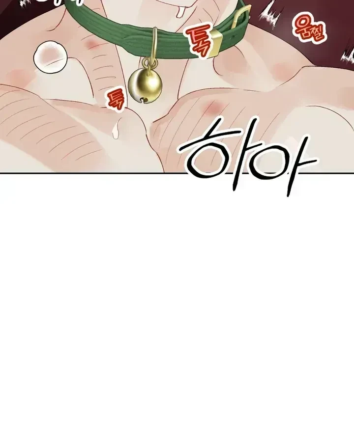 Chapter 1.2, page 30