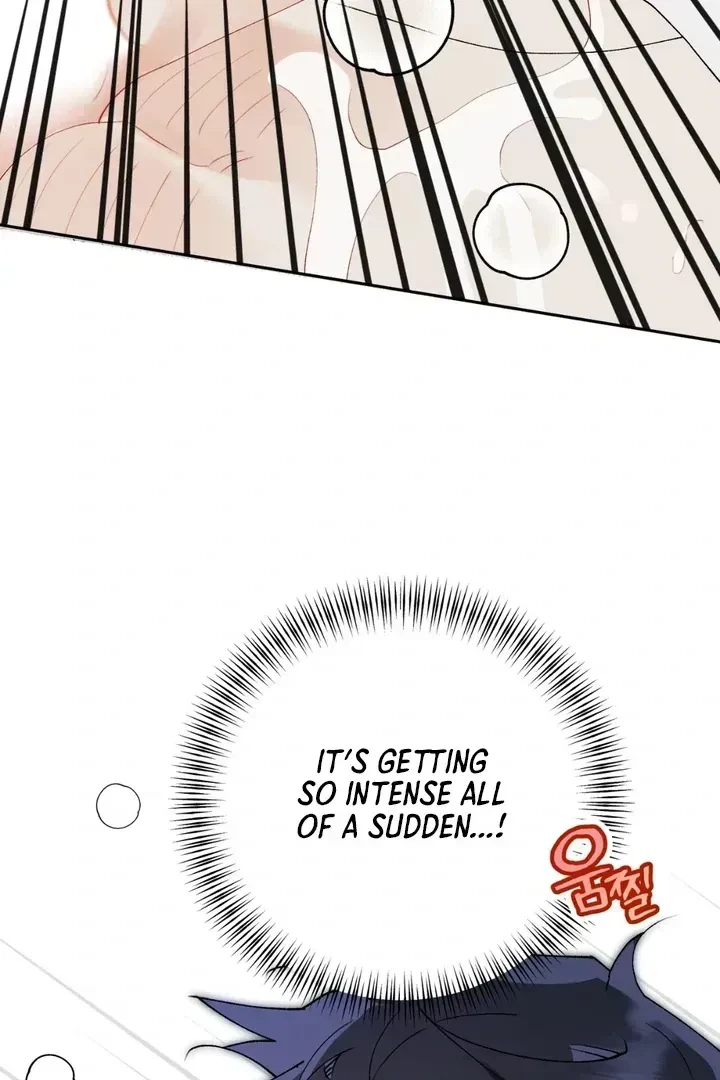 Chapter 1.2, page 64