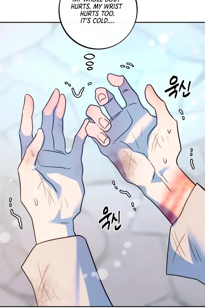 Chapter 2, page 109
