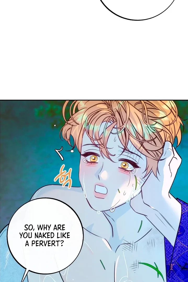 Chapter 2, page 46