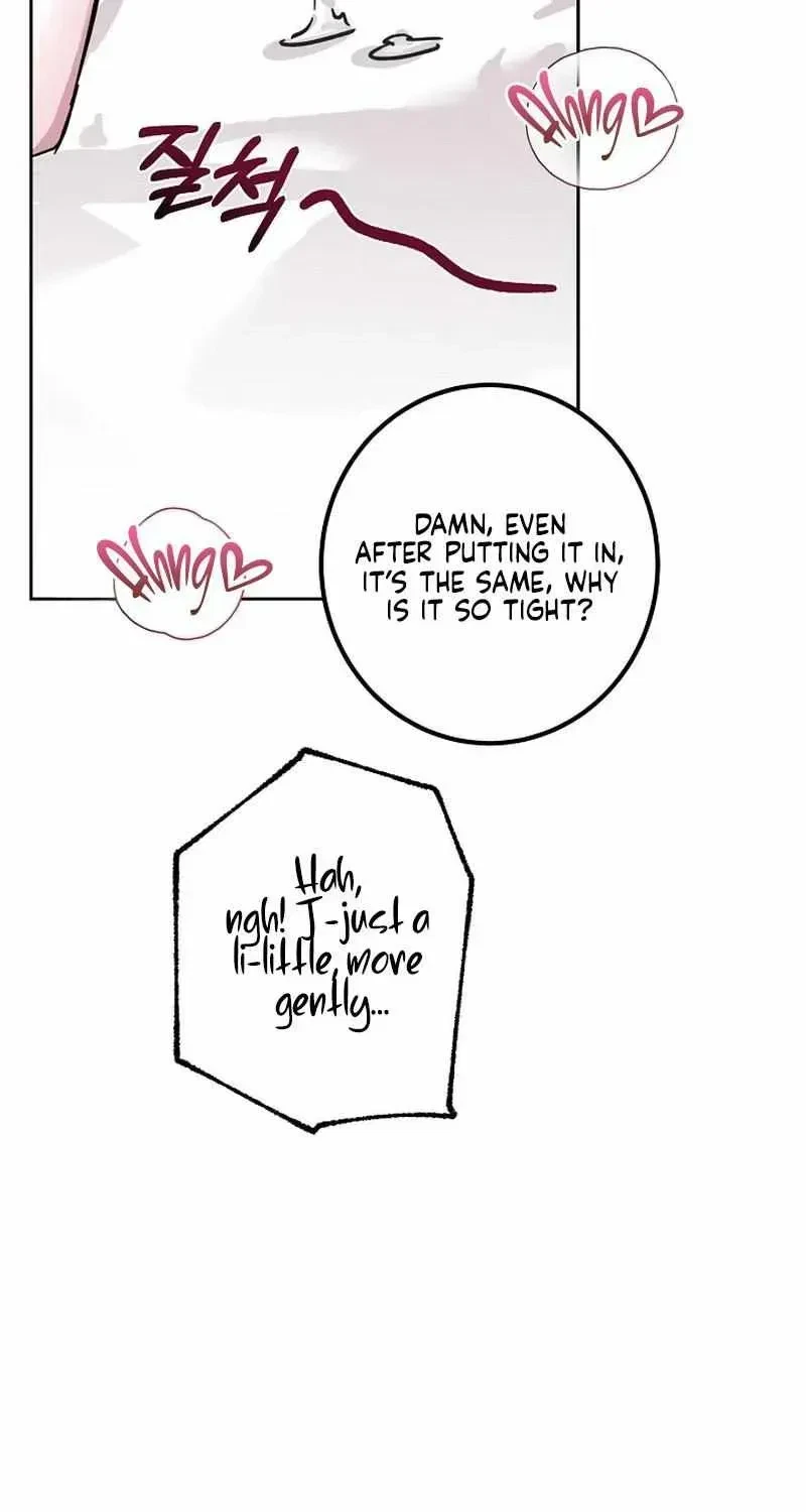 Chapter 1.1, page 65