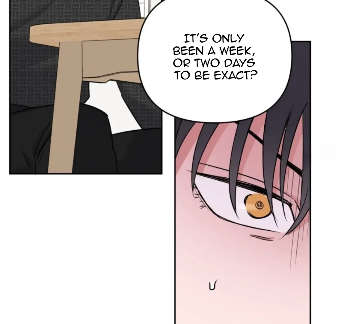 Chapter 5, page 43