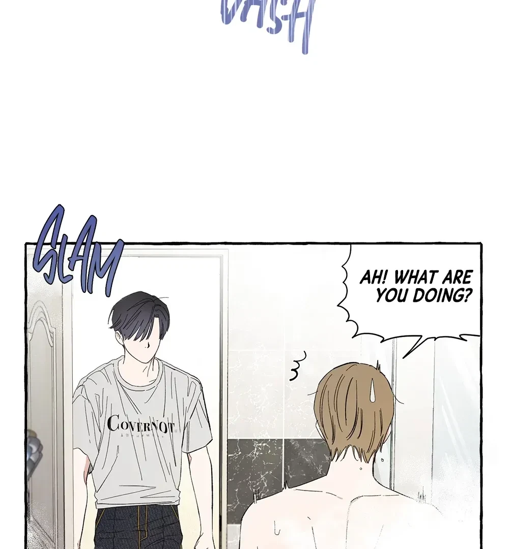 Chapter 5, page 101
