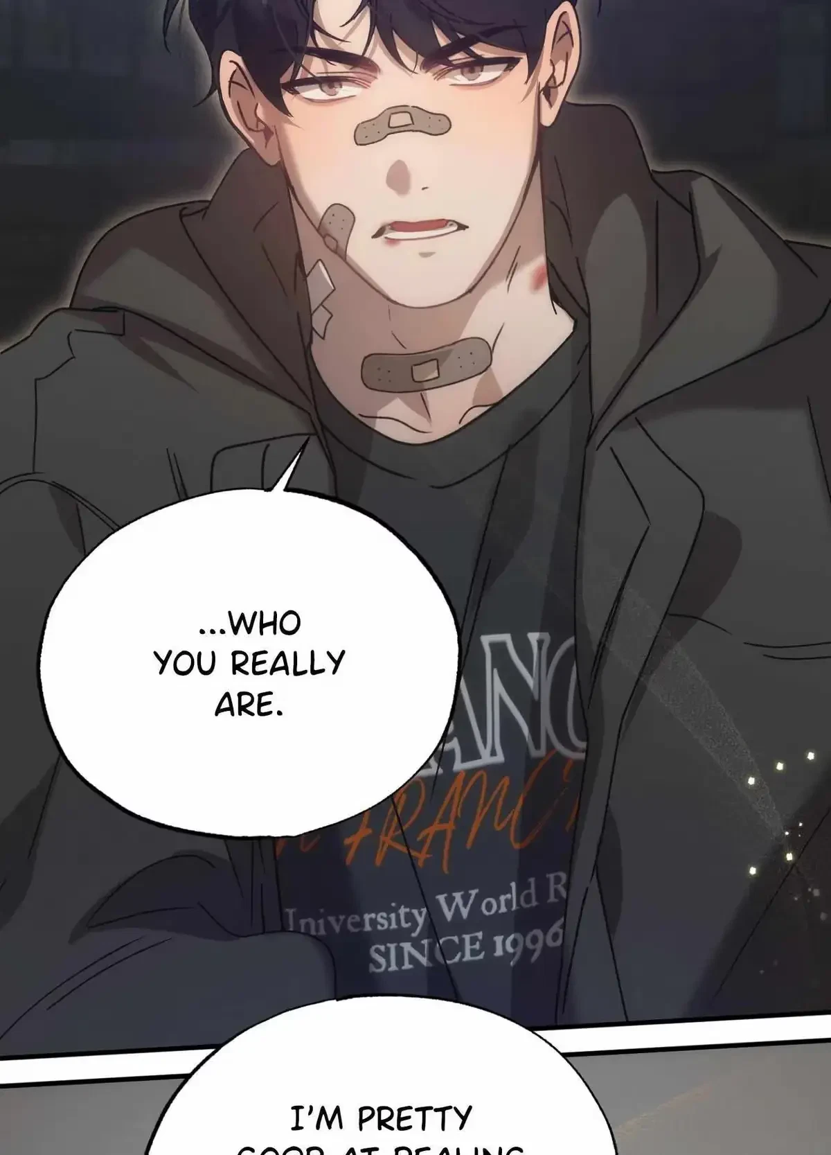 Chapter 19, page 95