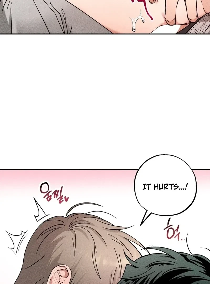 Chapter 1, page 66