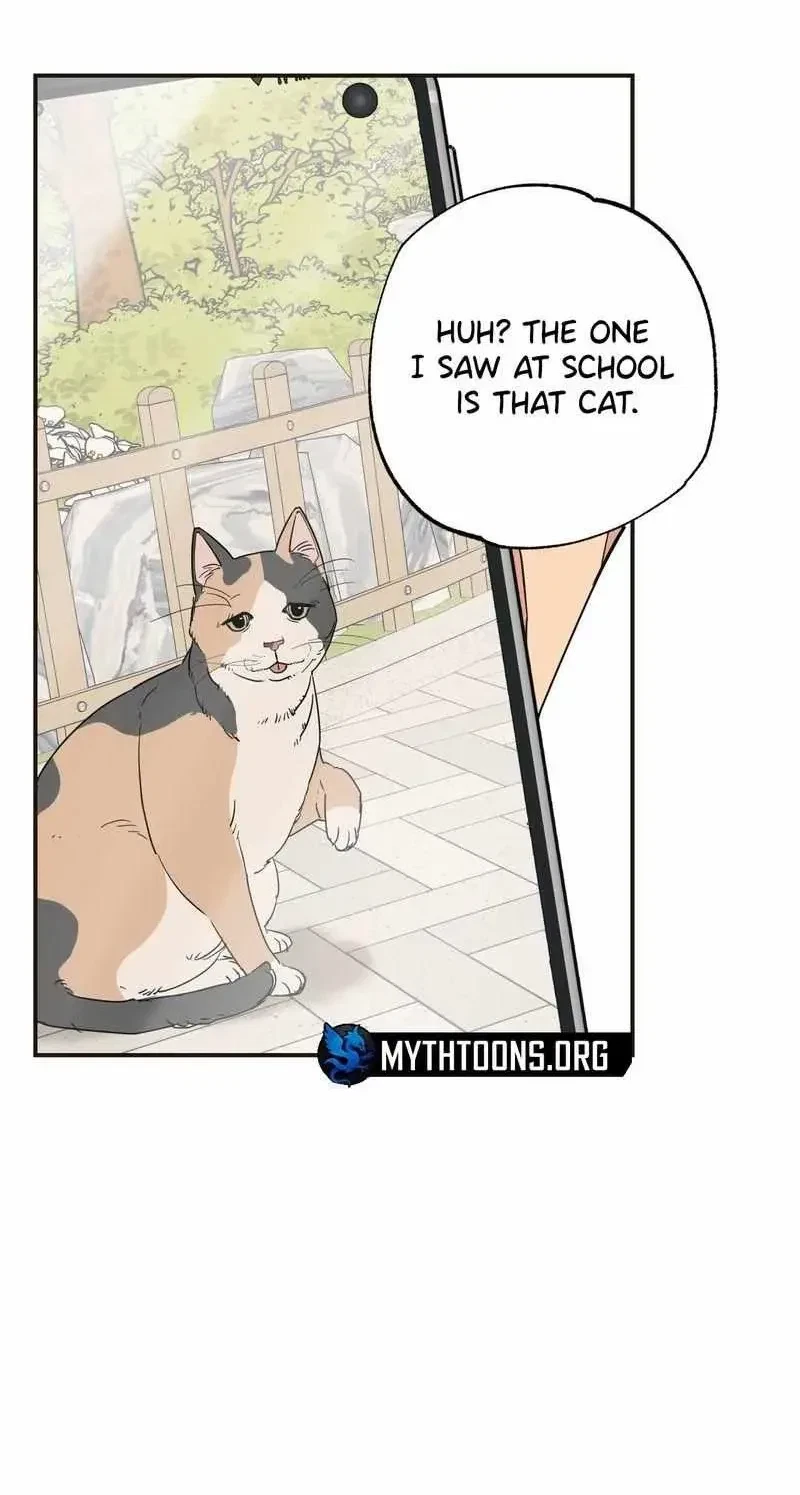 Chapter 6, page 10