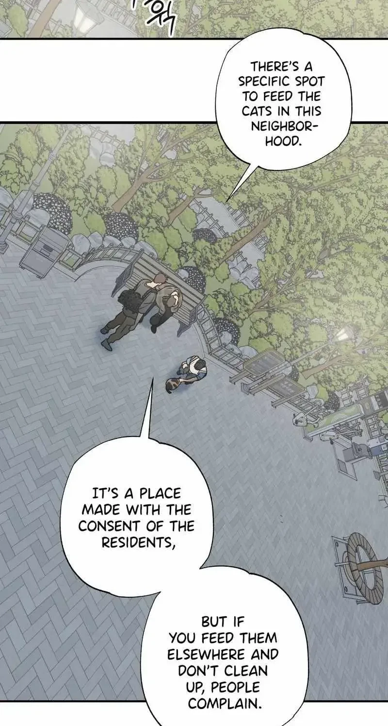 Chapter 6, page 6