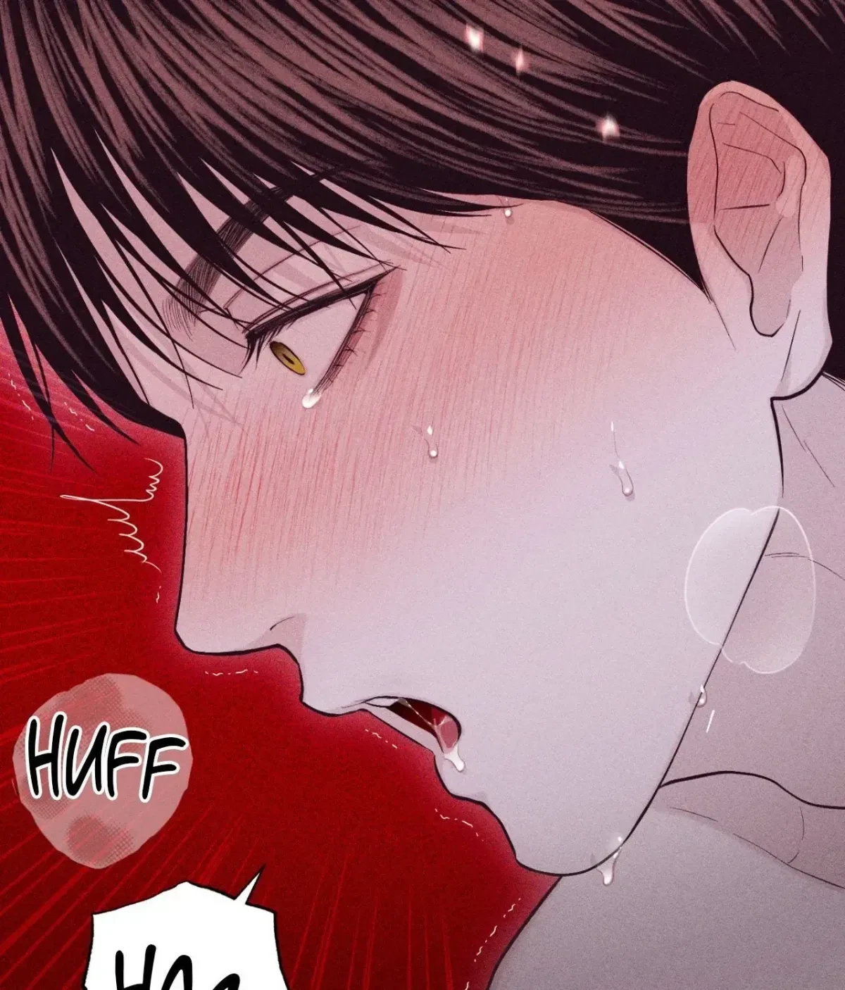 Chapter 75.5, page 195