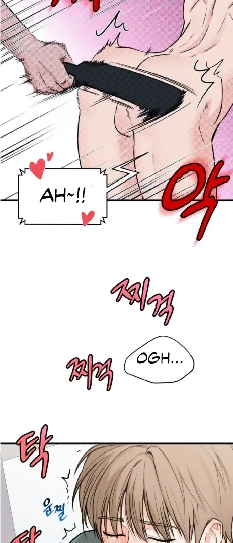 Chapter 1, page 14