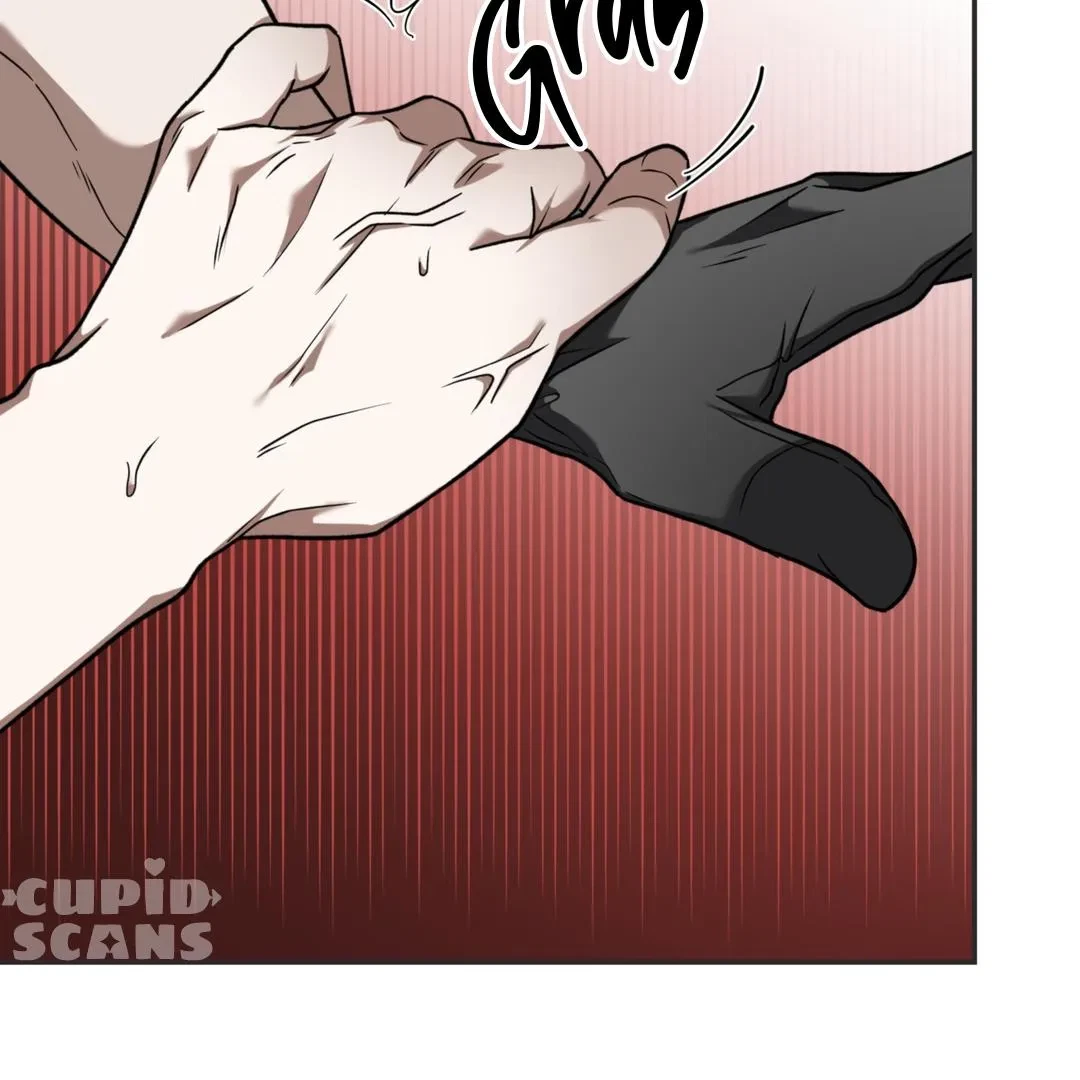 Chapter 4, page 74